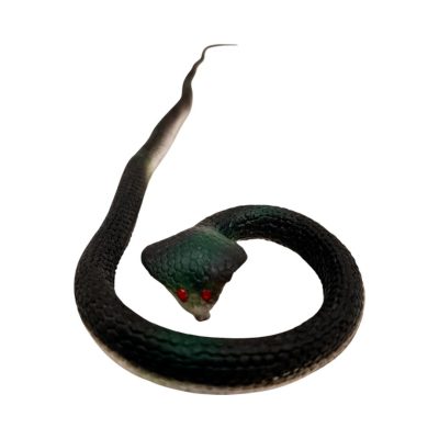مار خارجی 600