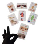 فلش کارت آشنایی با بدن انسان اندیشه کهن 38 - Image 3