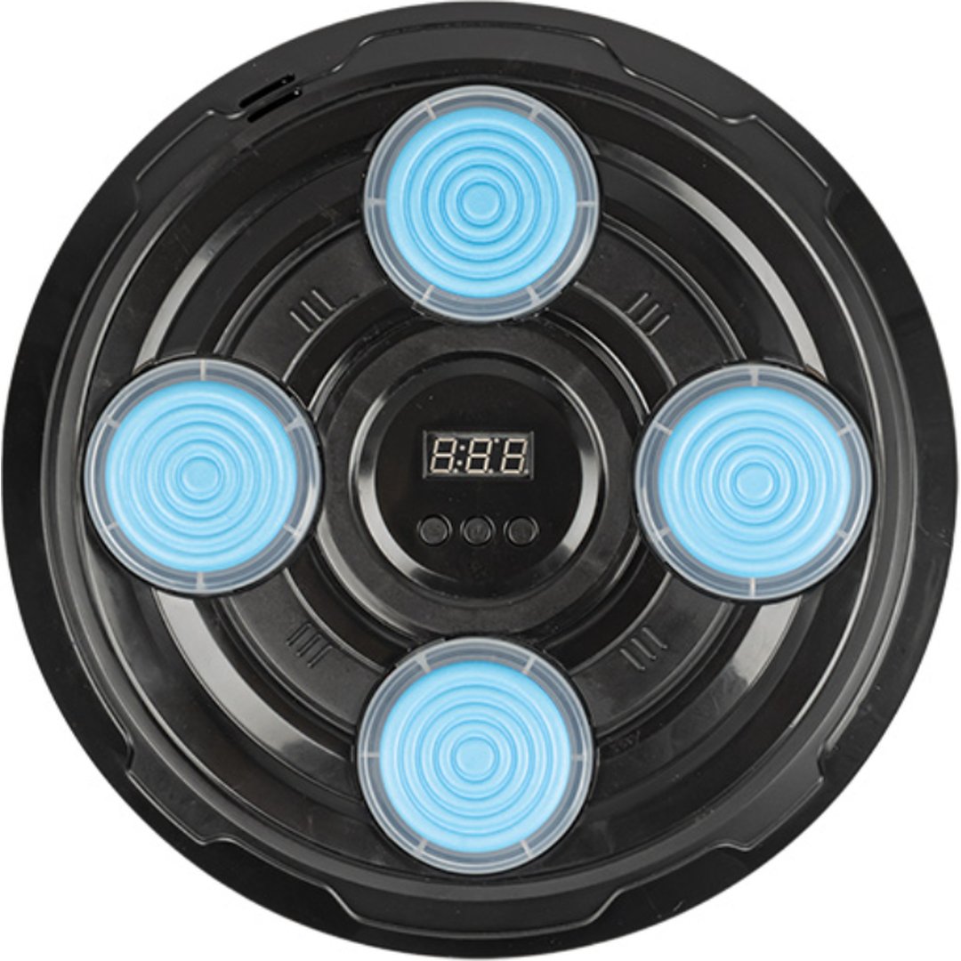 بوکسینگ دیواری موزیکال (4 تارگت) کد 9770 خارجی 24